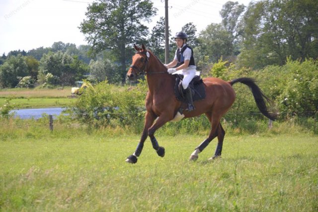 reitertag 2013 285